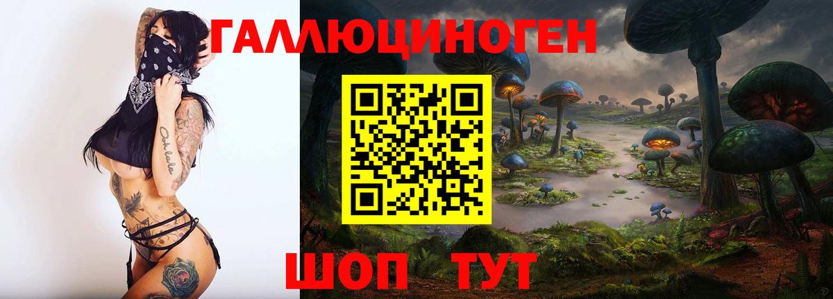 Псилоцибиновые грибы MAGIC MUSHROOMS Киселёвск